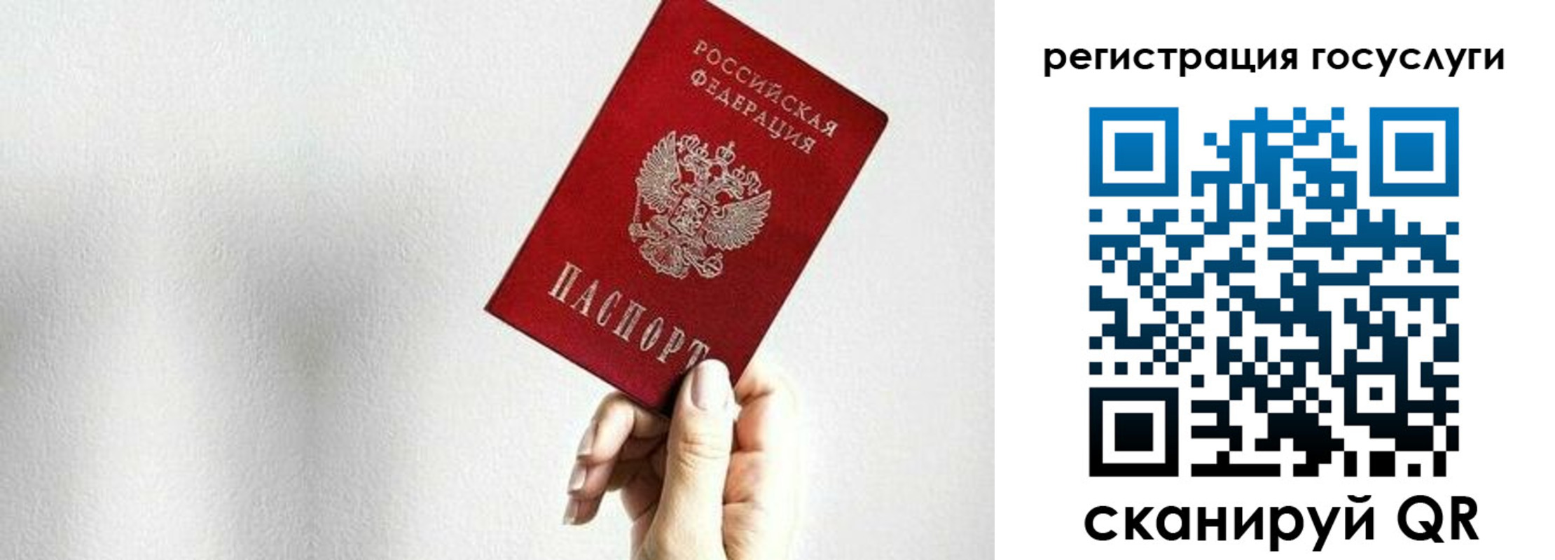 прописка гарантия в Барыше